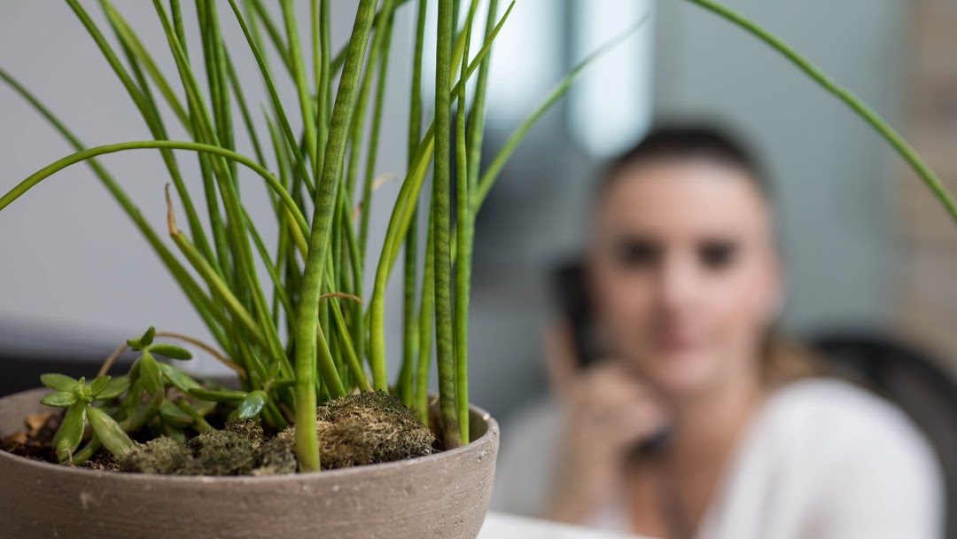 Empfang der Hausarztpraxis Asllani am Bahnhof Aarau, eine Praxisassistentin am Telefon